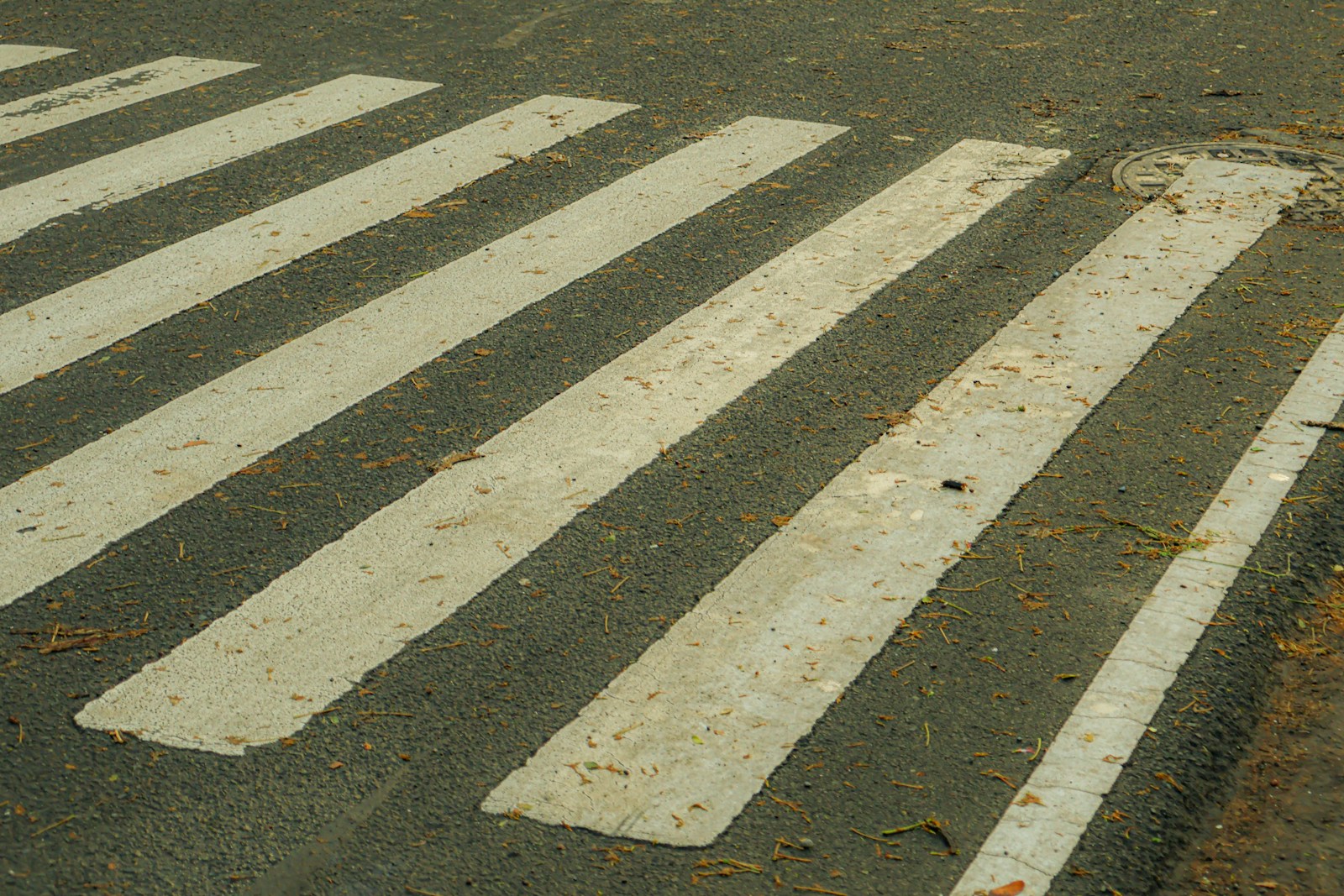Pedestrian crosswalk in an urban street